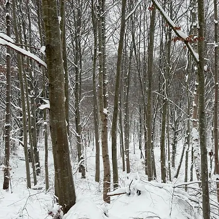 Apartment Mazurski Dadaj