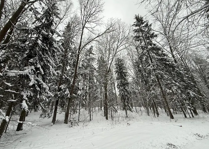 Apartment Mazurski *